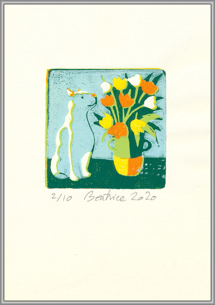 Kat og tulipaner